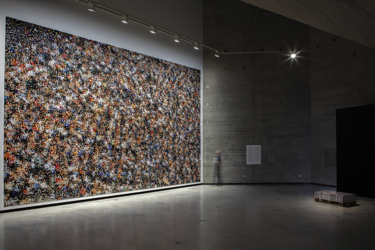 Gatos del mundo / Cats of the world, 2021