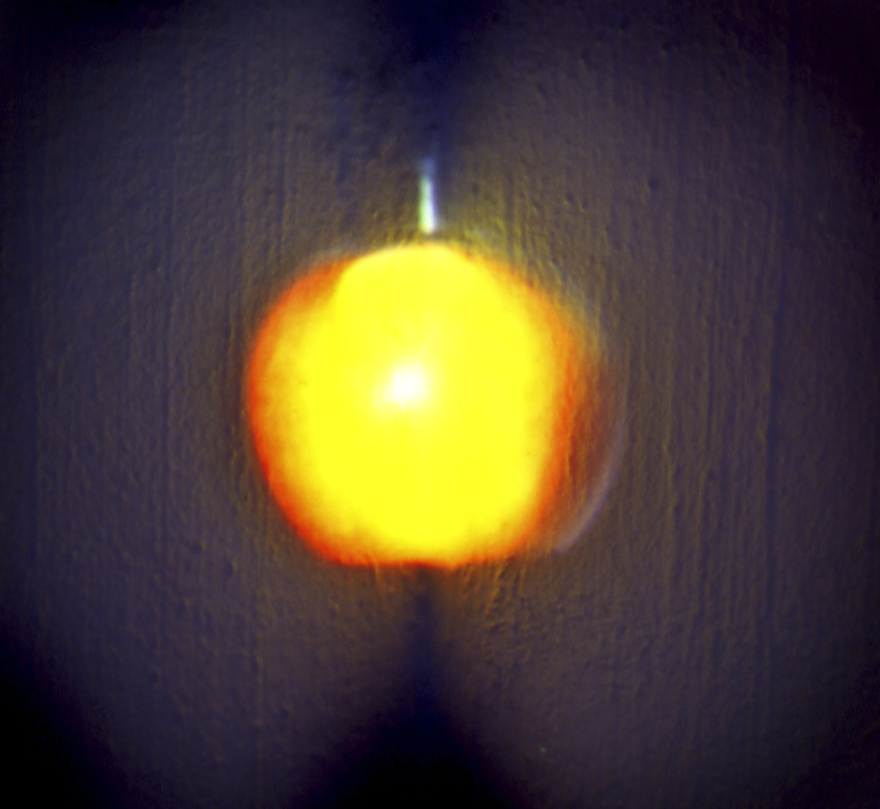 Sin título (Manzanas), 1996